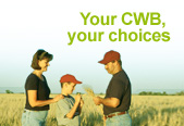 Your CWB, your choices